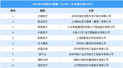 2020年中國醫療器械（含IVD）企業排行榜TOP20（附榜單）