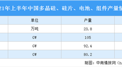 2021年上半年中國光伏產業運行情況：光伏組件產品同比增長50.5%（圖）