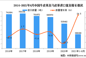 2021年1-6月中國牛皮革及馬皮革進口數據統計分析