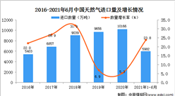 2021年1-6月中國天然氣進口數據統計分析