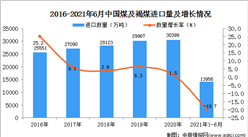2021年1-6月中国煤及褐煤进口数据统计分析