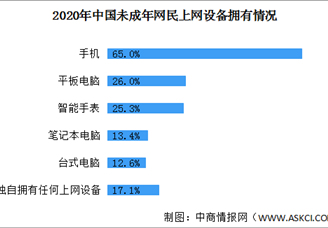 82.9%未成年网民拥有属于自己的上网设备 2021年中国电子产品市场前景分析（图）