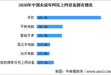 82.9%未成年网民拥有属于自己的上网设备 2021年中国电子产品市场前景分析（图）