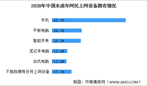 82.9%未成年网民拥有属于自己的上网设备 2021年中国电子产品市场前景分析（图）