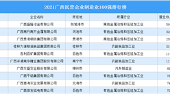 2021廣西民營企業制造業100強排行榜（附完整榜單）