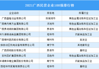 2021广西民营企业100强排行榜（附完整榜单）