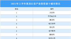 2021年上半年黑龙江省产业投资前十城市排名（产业篇）