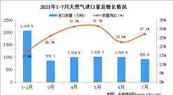 2021年7月中国天然气进口数据统计分析