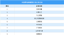 2021年中國鋰電池銅箔行業大數據分析（附企業名錄）