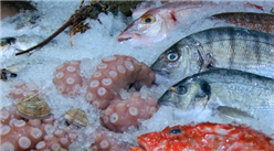 2021年1-7月中國凍魚進口數據統計分析