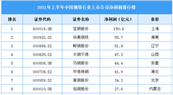 2021年上半年中國鋼鐵行業上市公司凈利潤排行榜（附全榜單）