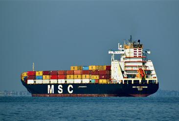 2021年上半年沿海省际货运船舶运力分析报告