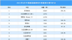 2021年8月中国新能源乘用车销量排行榜TOP10（附榜单）