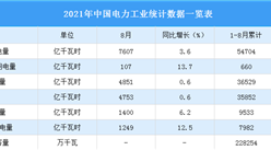 2021年1-8月中国电力工业统计数据分析：风电装机容量同比增长33.8%（图）