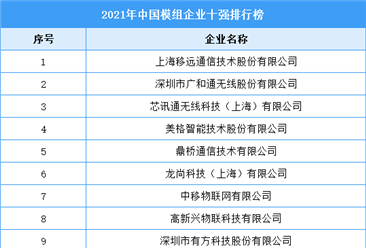 2021年中國模組企業十強排行榜（附完整榜單）