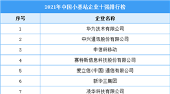 2021年中国小基站企业十强排行榜（附完整榜单）