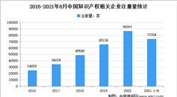 我國專利數量全球第一：2021年上半年中國知識產權企業大數據分析（圖）