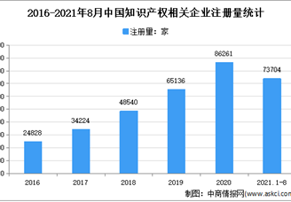 我国专利数量全球第一：2021年1-8月中国知识产权企业大数据分析（图）