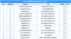 2021年中國民營企業500強榜山東上榜企業排行榜（附榜單）