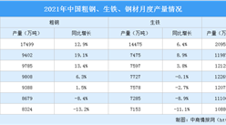 2021年1-8月中國鋼鐵行業運行情況：粗鋼產量同比下降13.2%（圖）