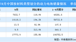 2021年1-9月中國動力電池銷量情況：磷酸鐵鋰電池銷售同比增長225%（圖）