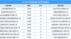 2021年山西省最具潜力民营企业榜单
