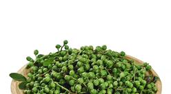 2021年中国花椒加工产业链上中下游市场分析（附产业链全景图）