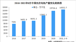 2021年中国光伏电池行业市场现状及行业发展前景分析（图）