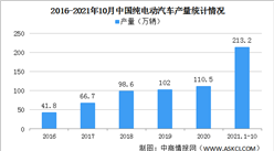 2021年中國純電動汽車行業發展現狀分析：上汽通用五菱市場份額最高（圖）