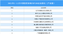 產業地產投資情報：2021年1-11月中國投資拿地TOP100企業排行榜（產業篇）