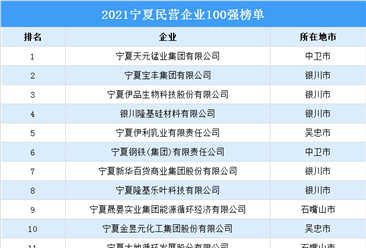 2021寧夏民營企業100強排行榜（附榜單）
