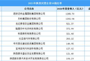 2021年陜西省民營企業50強榜單（附完整榜單）