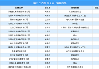 2021江西民营企业100强排行榜（附榜单）