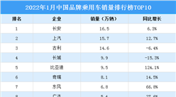 2022年1月中國品牌乘用車銷量排行榜TOP10（附榜單）