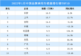2022年1月中国品牌乘用车销量排行榜TOP10（附榜单）