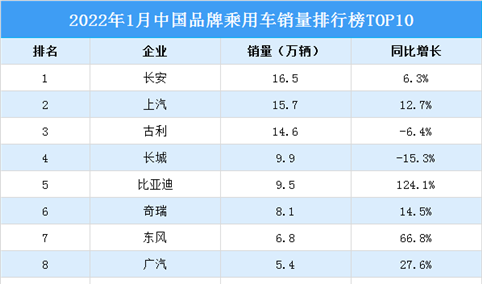 2022年1月中国品牌乘用车销量排行榜TOP10（附榜单）