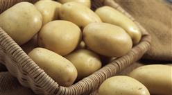 2022年10月馬鈴薯市場供需及價格走勢預測分析：馬鈴薯價格上漲