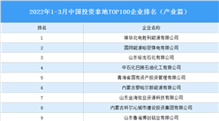 產業投資情報：2022年1-3月中國投資拿地TOP100企業排行榜（產業篇）