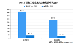 2022年中國鋁加工龍頭企業市場競爭格局分析（圖）