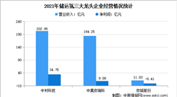 2022年中國儲運氫龍頭企業市場競爭格局分析（圖）