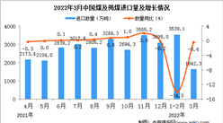 2022年3月中国煤及褐煤进口数据统计分析