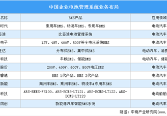 2022年中国电池管理系统行业发展现状预测分析（图）