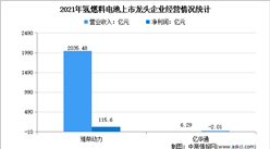 2022年中國氫燃料電池行業上市龍頭企業市場競爭格局分析（圖）