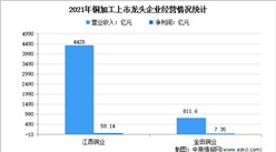 2022年中国铜加工行业上市龙头企业市场竞争格局分析（图）