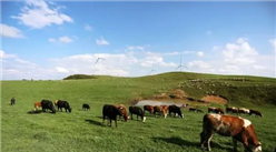 【碳中和专题】畜牧业碳排放高 碳中和背景下畜牧业低碳转型方向在哪？（图）