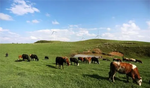 【碳中和专题】畜牧业碳排放高 碳中和背景下畜牧业低碳转型方向在哪？（图）