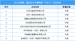 2021年度第二批北京市专精特新“小巨人”企业名单