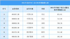 2021年采礦業(yè)上市企業(yè)凈利潤排行榜