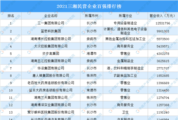 2021三湘民营企业百强排行榜（附完整榜单）