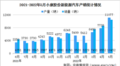 2022年5月小康股份汽車產銷情況：新能源汽車銷量同比減少28.49%（圖）